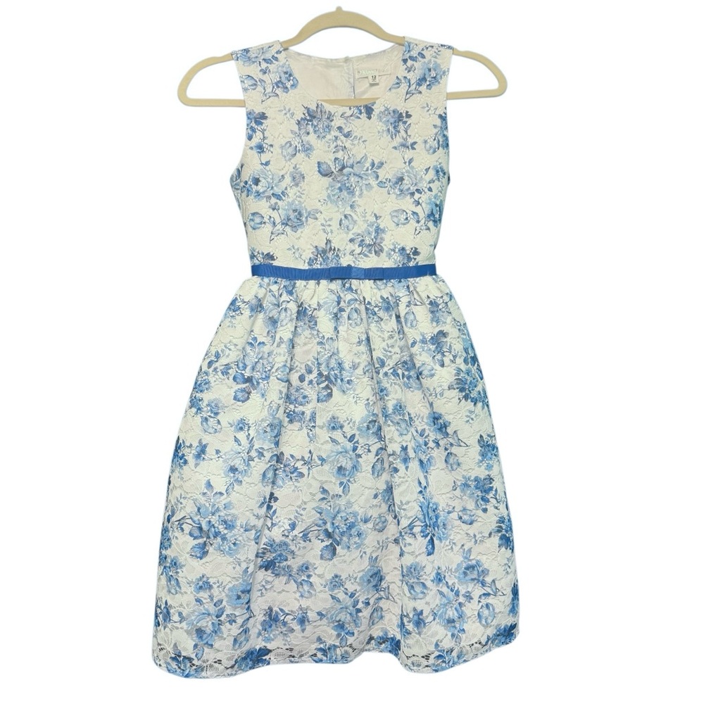 Nannette White and Blue Floral Toile Pleated Lace Girl’s Sundress Crew Neck